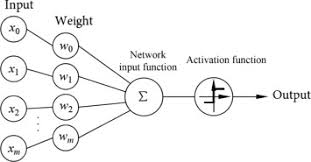 perceptron